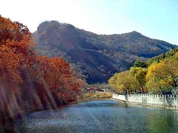 新澳天天开奖资料大全旅游团，佛山新港